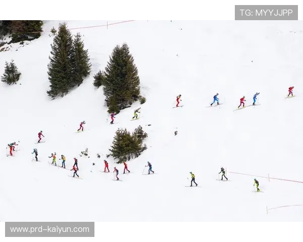 滑雪登山首次列入冬奥项目,中国冰雪军团多个领域有望突破 滑雪登山首次列入冬奥项目,中国冰雪军团多个领域有望突破