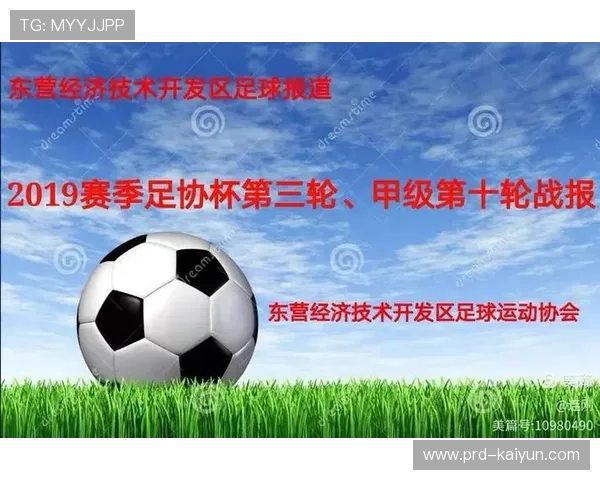 足球经济影响研究，地方经济带动效应